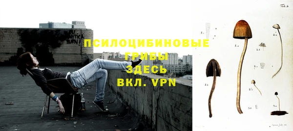 крисы Армянск