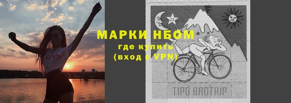 крисы Армянск