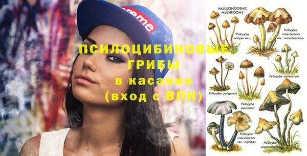 эйфоретик Аркадак
