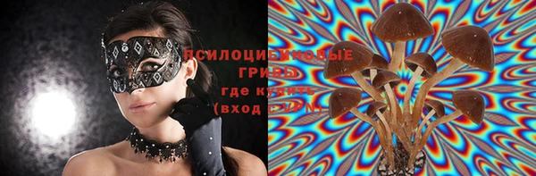 эйфоретик Аркадак