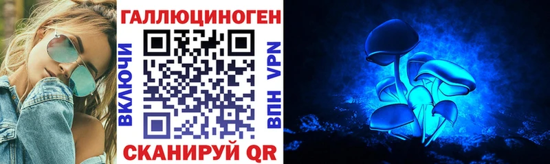 закладка  Белая Холуница  Галлюциногенные грибы Cubensis 